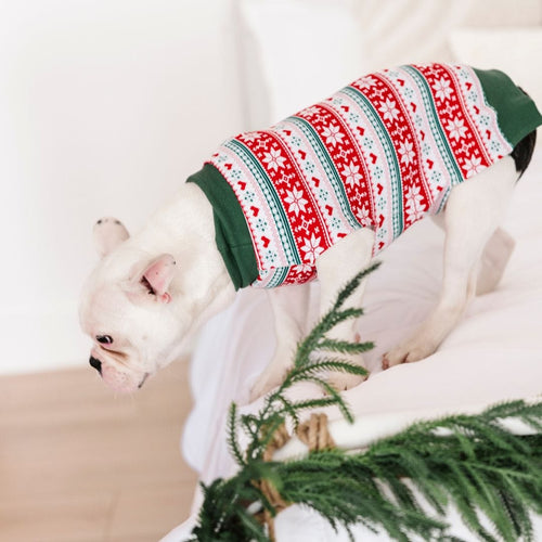Baby Kids Bamboo Pajamas — Up To Snow Good Dog Sweater — Image 4