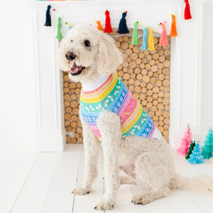 Baby Kids Bamboo Pajamas — Merry And Bright Dog Sweater — Image 1