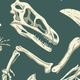Dinosaur bones illustration in a dark green background