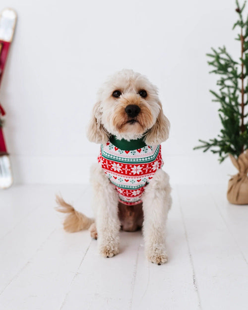 Baby Kids Bamboo Pajamas — Up To Snow Good Dog Sweater — Image 1