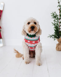 Baby Kids Bamboo Pajamas — Up To Snow Good Dog Sweater — Image 1