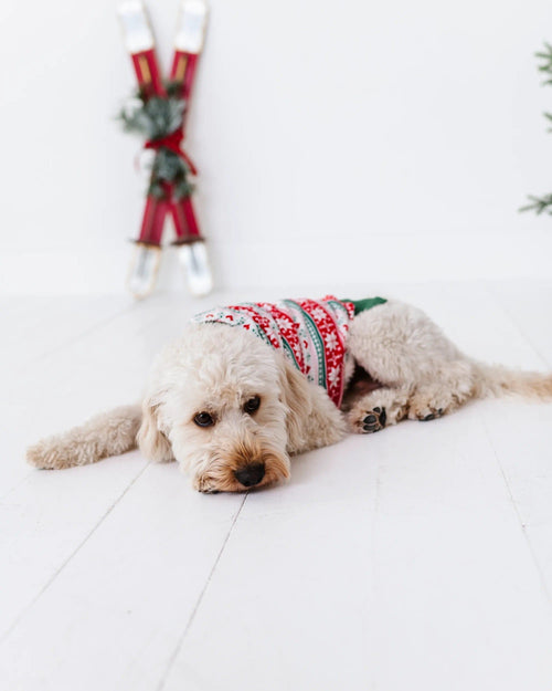 Baby Kids Bamboo Pajamas — Up To Snow Good Dog Sweater — Image 5