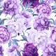 Peony floral pattern in shades of purple and pink.