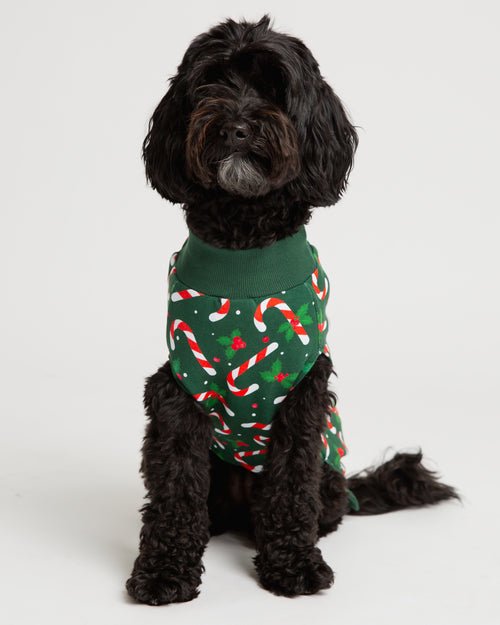Baby Kids Bamboo Pajamas — Candy Cane Lane Dog Sweater - Dark Green — Image 3