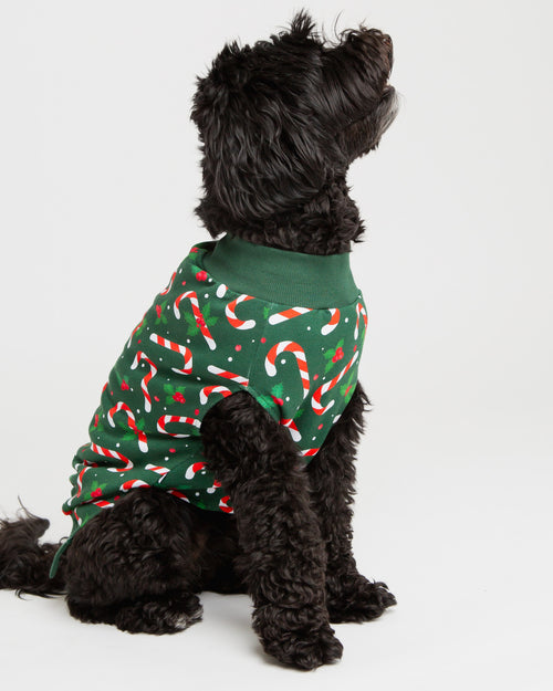 Baby Kids Bamboo Pajamas — Candy Cane Lane Dog Sweater - Dark Green — Image 1