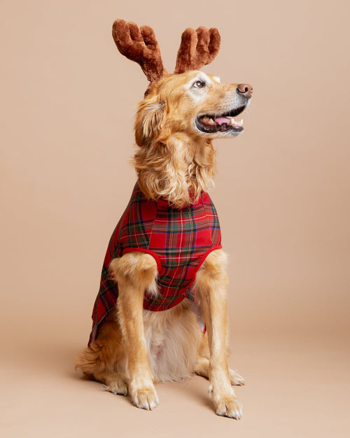 Baby Kids Bamboo Pajamas — Prepped & Plaid Dog Sweater — Image 1