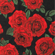 Red roses with green leaves on a black background.