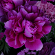 Floral pattern featuring purple peonies and other flowers