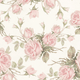 Floral pattern featuring pink roses on a cream background