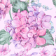 Cluster of pink hydrangea flowers with green leaves on a light background