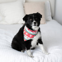 Baby Kids Bamboo Pajamas — Up To Snow Good Pet Bandana — Image 1