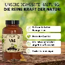 18.webp