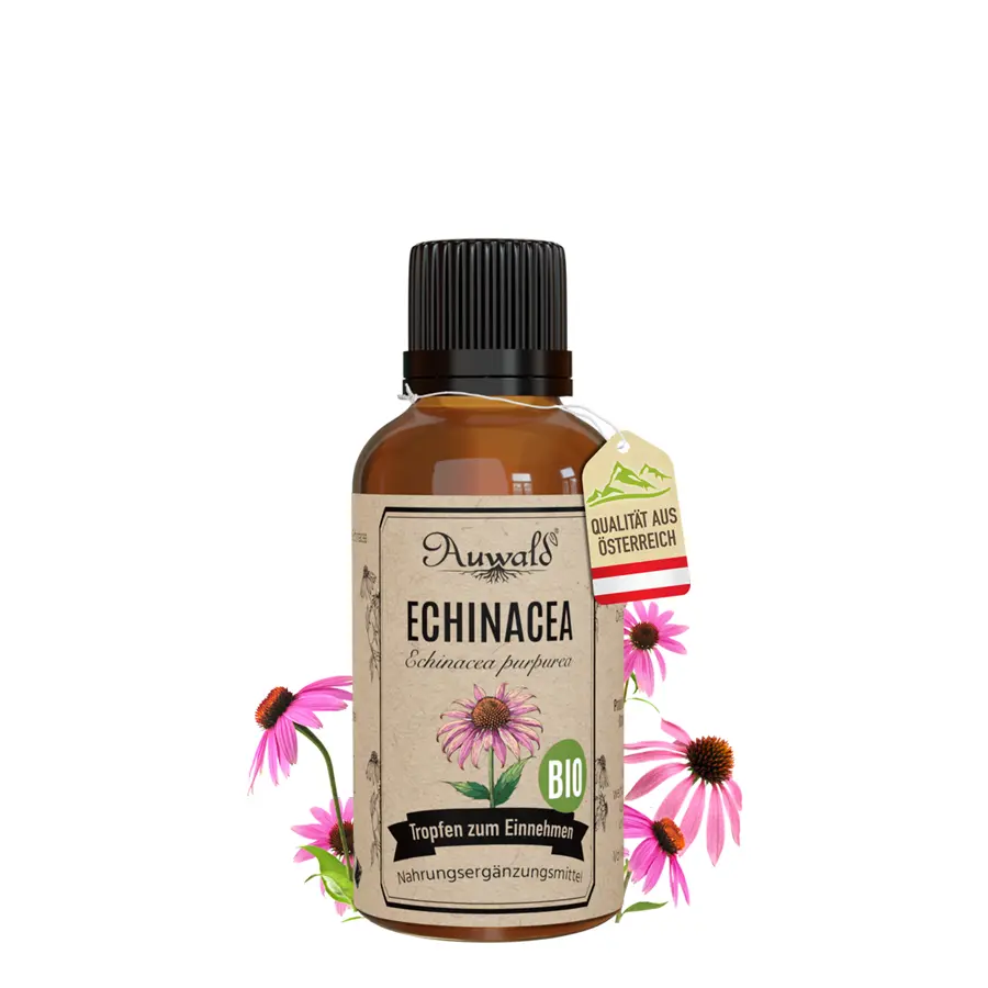 Echinacea Tinktur BIO 30ml (Echinacea Extrakt)